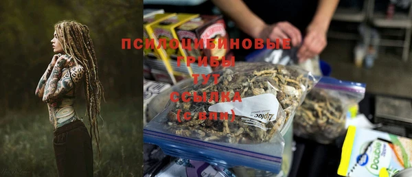 сатива Абдулино